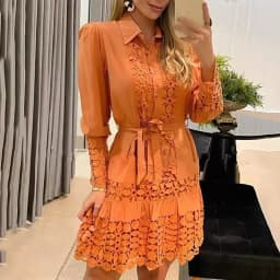Women's Lace Lace Long Sleeve Dress OL Work Bohemian Solid Color Lapel Shirt Mini Dress Elegant Dress Ladies Commuting Clothes