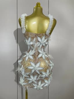 Sexy Sparkly Diamond Flowers Feathers White Transparent Slip Short Dress Evening Prom Celebrate Birthday Dress Photoshoot Wear
