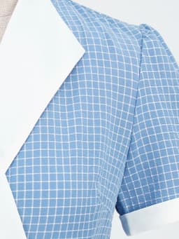 Tonval Lavender Contrast Collar and Cuff Plaid Rockabilly Vintage Style High Waist Women Summer Elegant Formal Swing Dresses