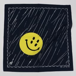 Royal KnightStyle Printing Eagle Smile Cotton Bandana Men Pocket Square Scarf Neckerchief