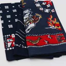 Royal KnightStyle Printing Eagle Smile Cotton Bandana Men Pocket Square Scarf Neckerchief