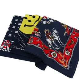Royal KnightStyle Printing Eagle Smile Cotton Bandana Men Pocket Square Scarf Neckerchief