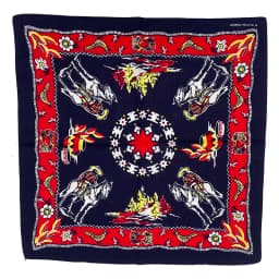 Royal KnightStyle Printing Eagle Smile Cotton Bandana Men Pocket Square Scarf Neckerchief