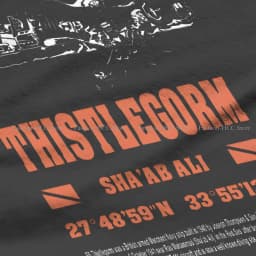 Egypt Red Sea Thistlegorm Diving Fashion Polyester TShirts Scuba Diver Adventure Sport Female Style Tops T Shirt O Neck