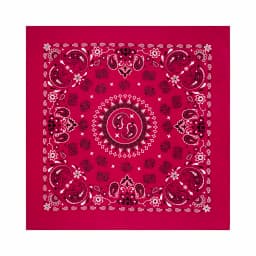 56CM Women Foulard Hip Hop Amoeba Cotton Square Scarf Bandana Headband Paisley Gifts For Men/Boys/Girls High Quality