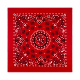 56CM Women Foulard Hip Hop Amoeba Cotton Square Scarf Bandana Headband Paisley Gifts For Men/Boys/Girls High Quality