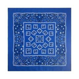 Green Cotton Square Bandana Scarf High Quality New Design Hip Hop Scarf Print Headband Paisley Gifts For Men/Boys/Girls