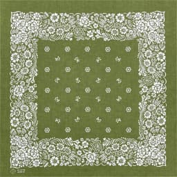 Green Cotton Square Bandana Scarf High Quality New Design Hip Hop Scarf Print Headband Paisley Gifts For Men/Boys/Girls