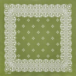 Green Cotton Square Bandana Scarf High Quality New Design Hip Hop Scarf Print Headband Paisley Gifts For Men/Boys/Girls