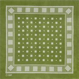 Green Cotton Square Bandana Scarf High Quality New Design Hip Hop Scarf Print Headband Paisley Gifts For Men/Boys/Girls