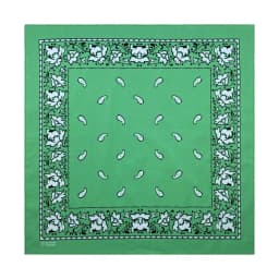 Green Cotton Square Bandana Scarf High Quality New Design Hip Hop Scarf Print Headband Paisley Gifts For Men/Boys/Girls