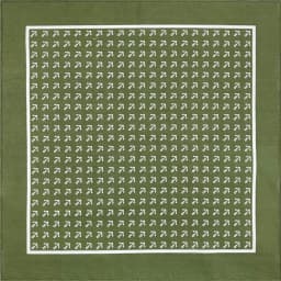 Green Cotton Square Bandana Scarf High Quality New Design Hip Hop Scarf Print Headband Paisley Gifts For Men/Boys/Girls