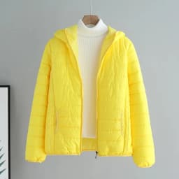 Women Jacket Autumn Winter Parkas 2024 New Female light Thin Down Cotton Coat Ladies Casual Hooded Short Warm Basic Overcoat