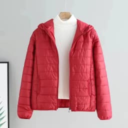 Women Jacket Autumn Winter Parkas 2024 New Female light Thin Down Cotton Coat Ladies Casual Hooded Short Warm Basic Overcoat