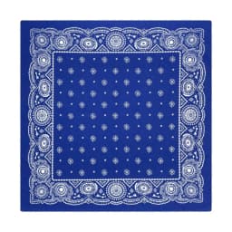 Popular Hip Hop Navy Blue Cashew Flower Bandana Men Women Outdoor Headbands Hair Band Wrist Wrap Amoeba Scarves Hair Accessories