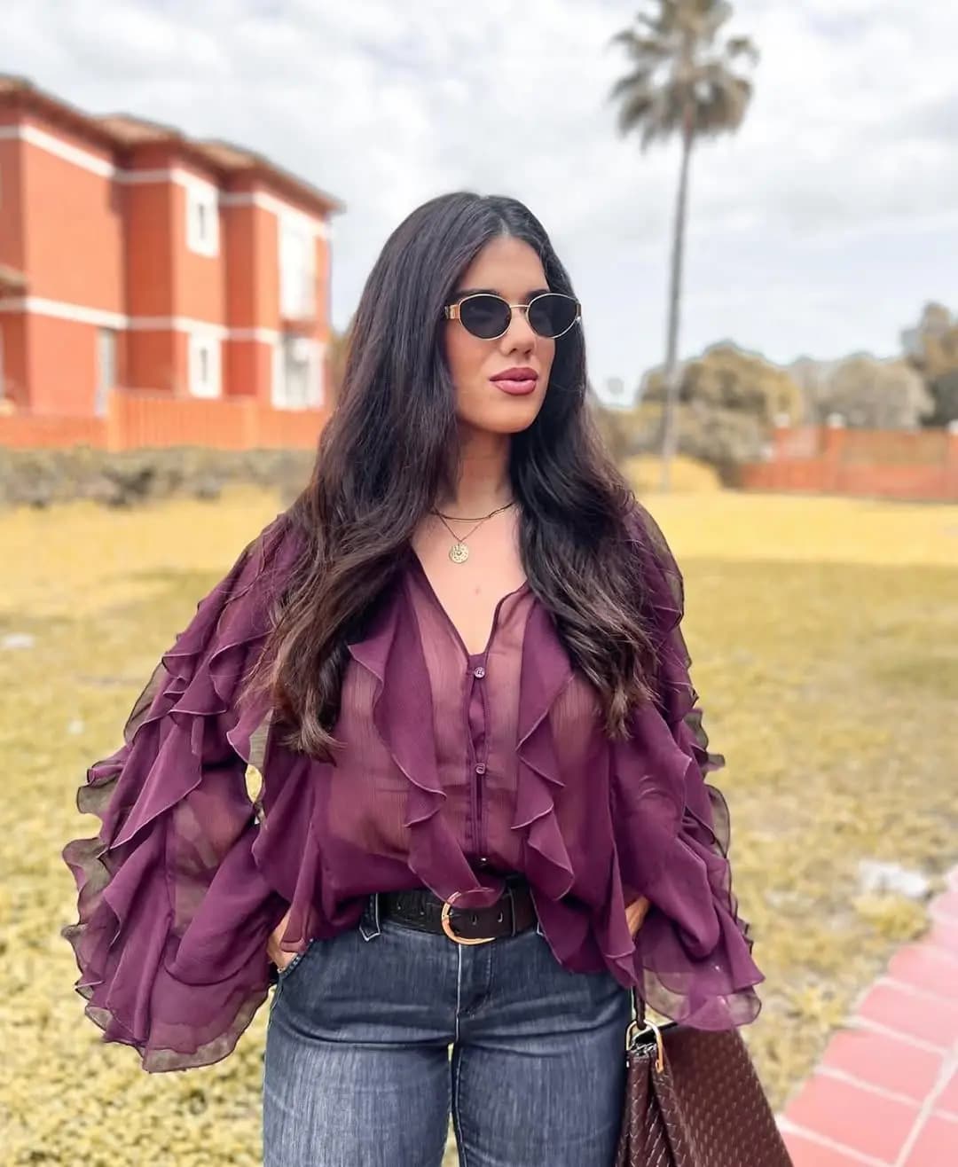 Spring 2025 Women Sex Semi-Sheer Long Sleeve V Neck Ruffle Blouse Shirt Front Button Streetwear Tops