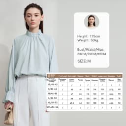AMII Women's Blouse Simple Loose Stand Collar Butterfly Sleeve Shirts and Blouses 2025 Autumn New Office Ladies Tops 12543102