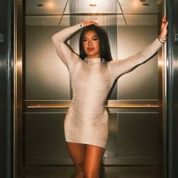 STYLISH LADY Snake Printed Dress 2025 Autumn Women Long Sleeve O Neck Bodycon Sexy Club Party Mini Vestidos De Festa