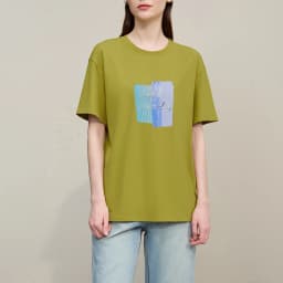 Amii Women's Tee Shirt 2026 Summer New O-Neck Printed Embroidered Cotton T-shirt Drop Shoulder Short Sleeve Elastic Top 12642009