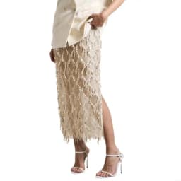 Stretch Sheer Skirt Features Sequins And Tassels for Nightclub Festival Wear
