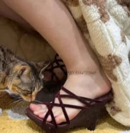 Vintage Strange Style Velvet Wedges Sandals Women's Summer Sexy Black/Wine Red High Heels Clog Mules Luxury Designer Party Shoes