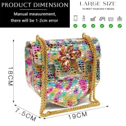 Venus Chan Elegant Rhinestone Heels & Matching Bag Set, Colorful Print Pointed Toe Block Heels for Banquet Club Night