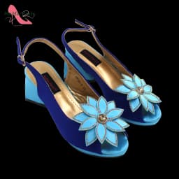 2024 New Design Special Fashion African Women Shoes Matching Bag Set High Quality with Platform Comfortable Heels for Part