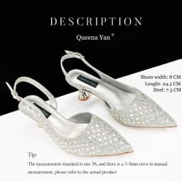 Queena Yan Glamorous Silver Color Occasions Party Wedding Lady Shoes and Bag Set In Stock Elegant Heels with Matching Purse