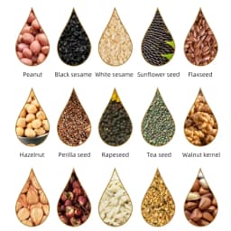 DIVEDEER Oil Press Automatic Household FLaxseed Oil Extractor Peanut Oil Cold Press Oil Machine Commercial Extraction Maker