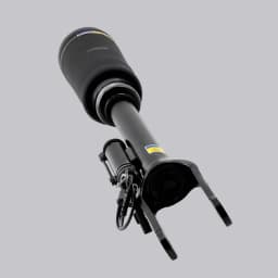 Front L/R Air Suspension Strut For Mercedes-Benz GL350 450 550 ML450 1643205813
