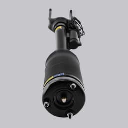 Front L/R Air Suspension Strut For Mercedes-Benz GL350 450 550 ML450 1643205813