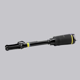 Front L/R Air Suspension Strut For Mercedes-Benz GL350 450 550 ML450 1643205813