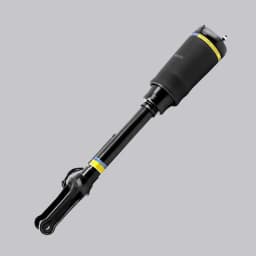 Front L/R Air Suspension Strut For Mercedes-Benz GL350 450 550 ML450 1643205813