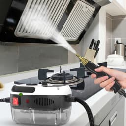 2500W Portable Steam lever handhad Steam lever High Temperature Pressure Pressure coating Machine With Brush Steam Vacuum
