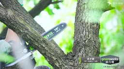 Greenworks 40v Top Handle Arborist Chainsaw Brushless Motor 10 Inch Bar 15M/S Professional One Hand Operate Garden Saw GS110