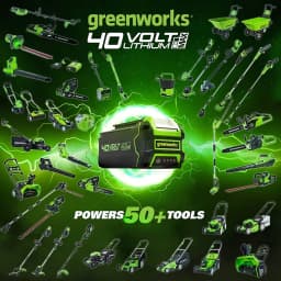 Greenworks 40V ChainSaw Brushless Motor 12M/S with Original 16Inch Chainbar and Oregon Sawchain with 4ah Battery and Charger
