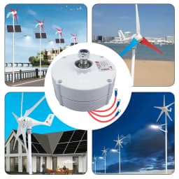 100W 12V Low RPM NdFeb PMG Rare Earth Permanent Magnet Generator for DIY Horizontal Wind Turbine Generator Windmil
