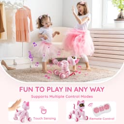 SucceBuy Intelligent Remote Control Robot Cat Electronic Stunt Voice Command Programmable Touch-sense Music Song Children's Toys