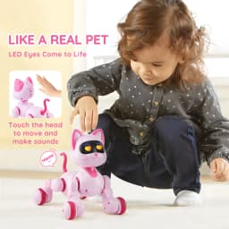 SucceBuy Intelligent Remote Control Robot Cat Electronic Stunt Voice Command Programmable Touch-sense Music Song Children's Toys