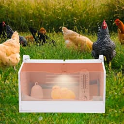 20 Eggs Incubator Dimmable Poultry Hatchery 220V 25W Electric Chicken Brooder Box w/ Water Feeder+Diapers+Thermometer 48*30*30cm