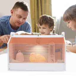 20 Eggs Incubator Dimmable Poultry Hatchery 220V 25W Electric Chicken Brooder Box w/ Water Feeder+Diapers+Thermometer 48*30*30cm