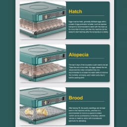 9/15 Drawer Type eg Incubator With Automatic leg turn And Humidity monitor Incubator For Chicken Eggs Duck leg Quail Egg