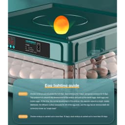 9/15 Drawer Type eg Incubator With Automatic leg turn And Humidity monitor Incubator For Chicken Eggs Duck leg Quail Egg