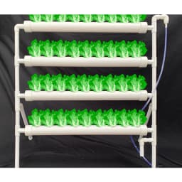 Single-Sided 36-Hole Soilless Cultivation Frame Wear Resistance Grow Kit Large Capacity Leak-free for Home/Garden