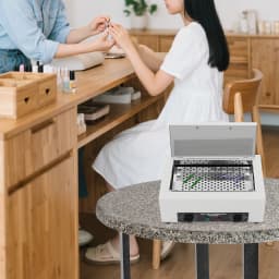 220V 300W High Temperature Dry Heat Sterilizer Nail Tool Sterilizer Dry Heat Disinfection Cabinet 2L With Timer, SPA Salon Barber Equipment