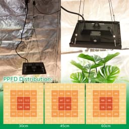 Full Spectrum LED Grow Light 150W For Indoor Grow Tent Plants 3000K 5000K LM281B For Hydroponic Seedling Vegetables Flowers