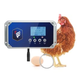Automatic Chicken Coop Door, Chicken Coop Door Opener Light Sensor Timer, Network or Battery Operated or Solar Powered Max 4kg