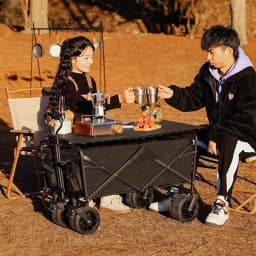 Large Collapsible Garden Camping Trolley Cart Outdoor Strong Load-bearing Beach Wagon Utility Carts With Wheels and Handle