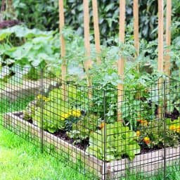 Pack of 5 Decorative Garden Fence,98 cm High,Metal Plug-in Fence with 6 Metal Posts,Landscape Fence for Flower Bed