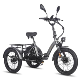Fafrees F20 Mate Folding Electric Tricycle Adults 20 Inch Cargo E-bike 500W with 48V 21Ah/23.45Ah Removable Battery